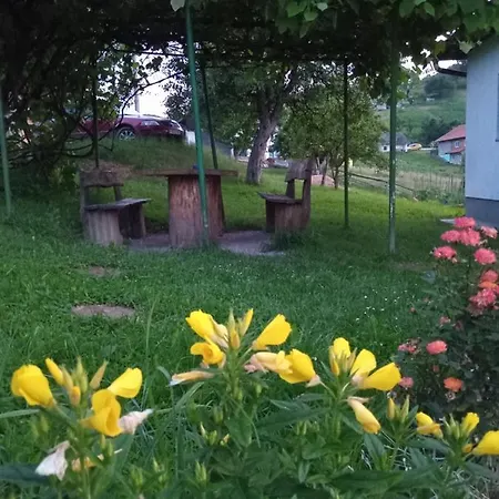 Apartment Zelena Oaza